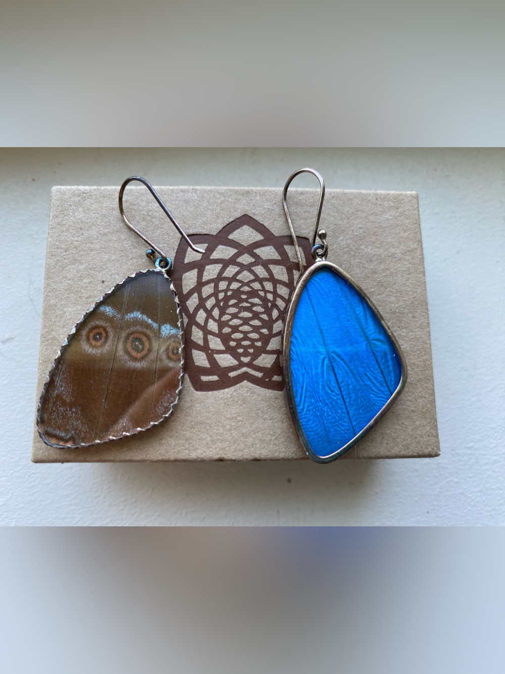 Blue and Brown Butterfly Wing Teardrop Earrings